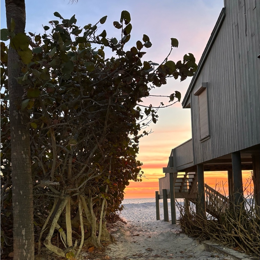 Meet your Posher, Bonnie